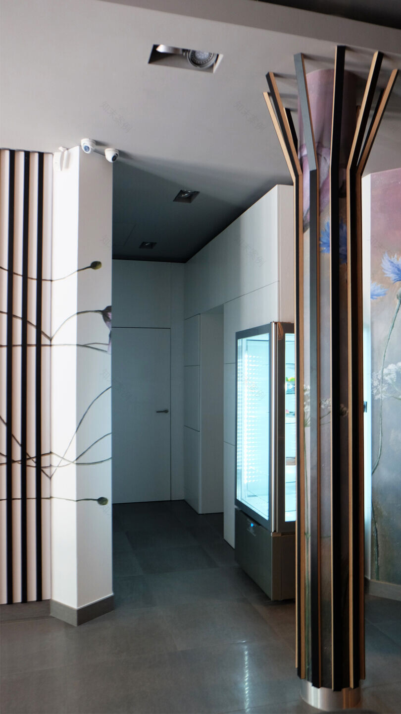 穿越镜子的奇幻餐厅丨波兰丨TOYA DESIGN-12