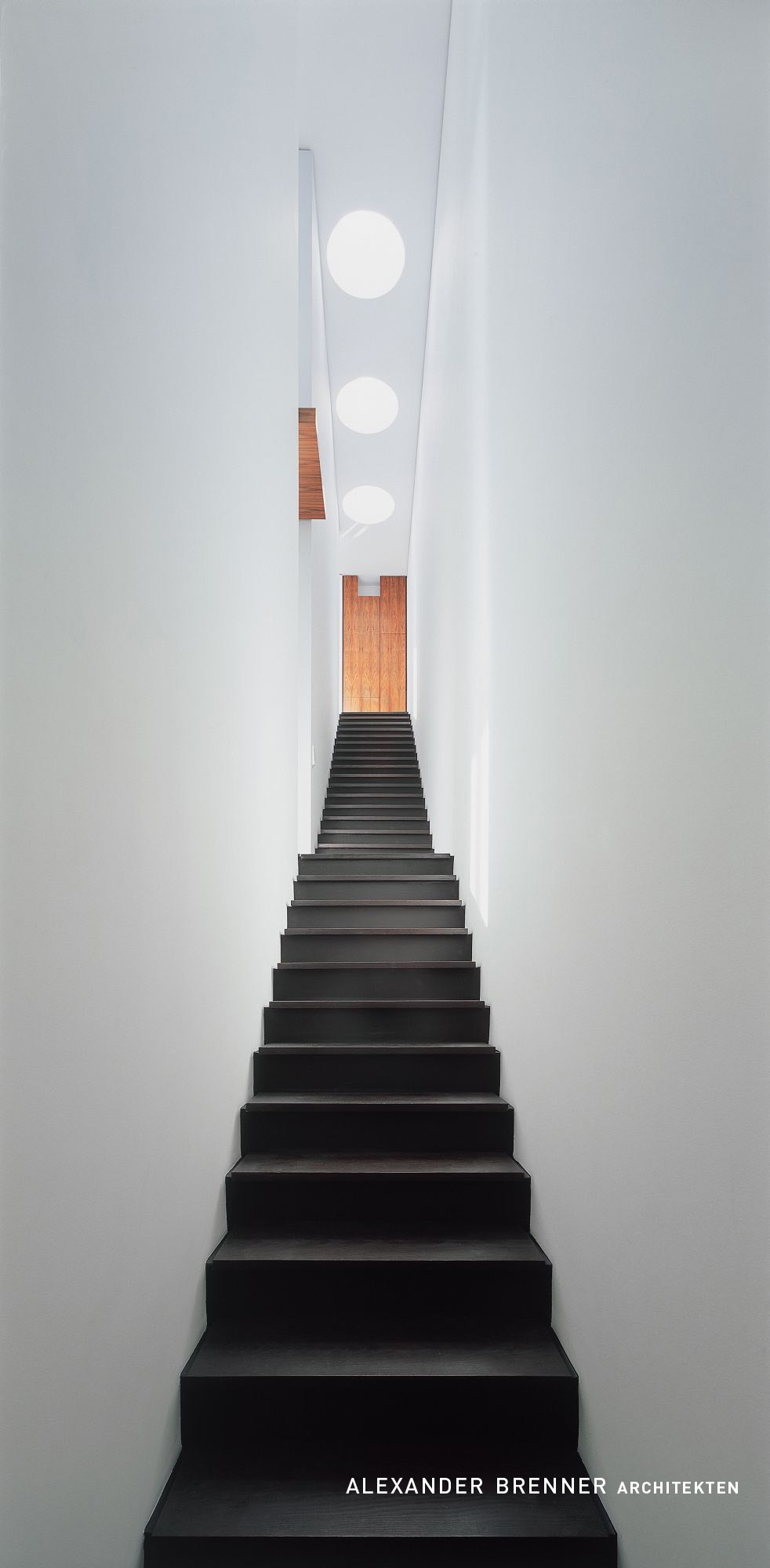 House Miki 1 Alexander Brenner Architects-10