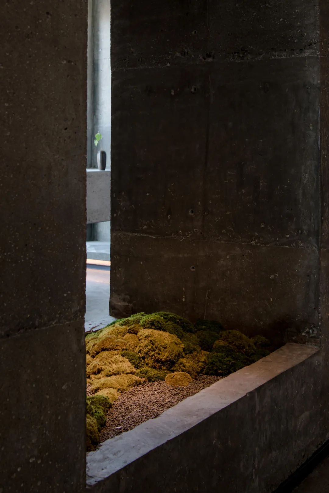 大启丨IOTA 设计事务所-44