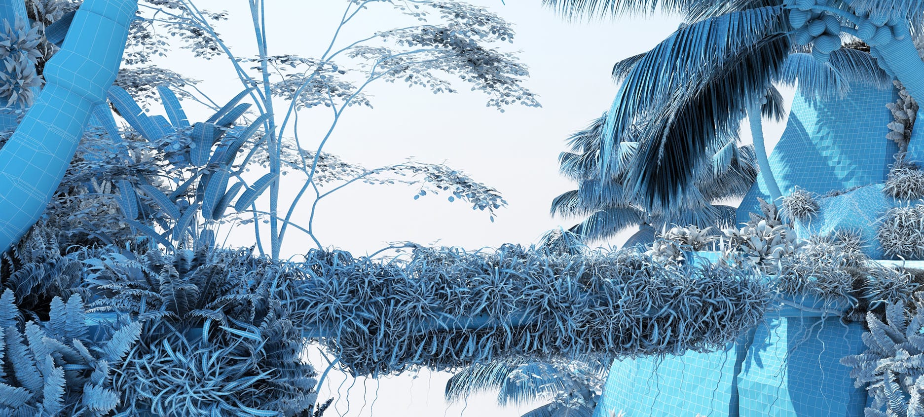 BIRDS OF PARADISE - Ando Studio-1