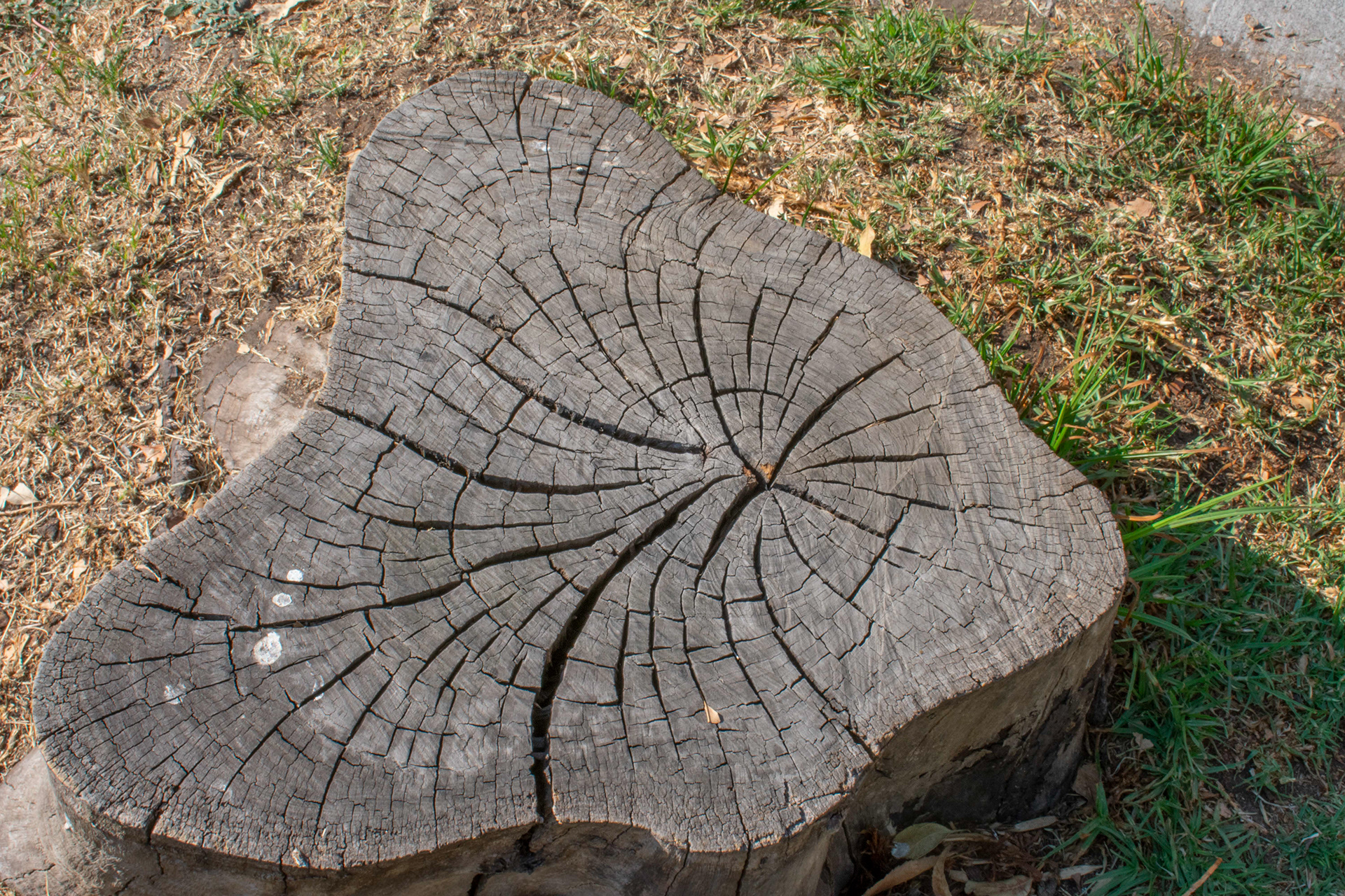 Tocón 建筑模型-21