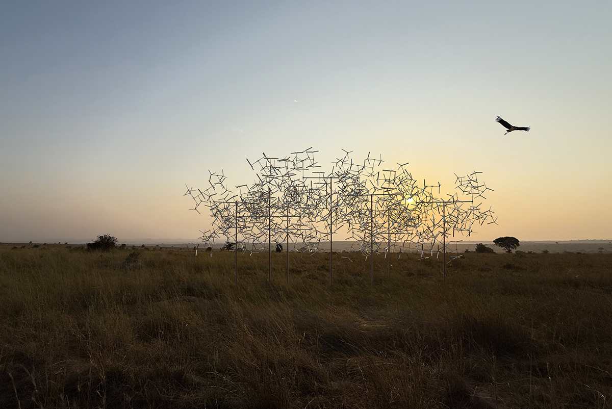 《分形群集》丨坦桑尼亚丨Vincent Leroy-33