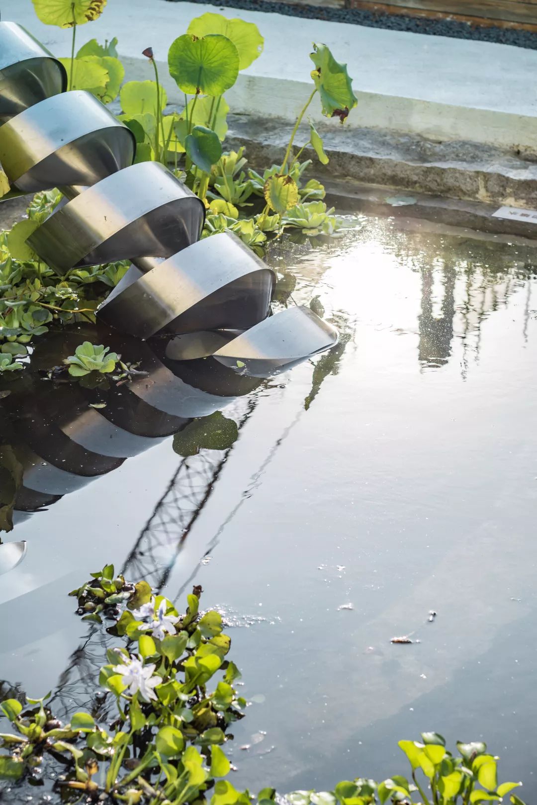 中南蚌埠江山府 | 种下一米菜园，收获心田一亩-107