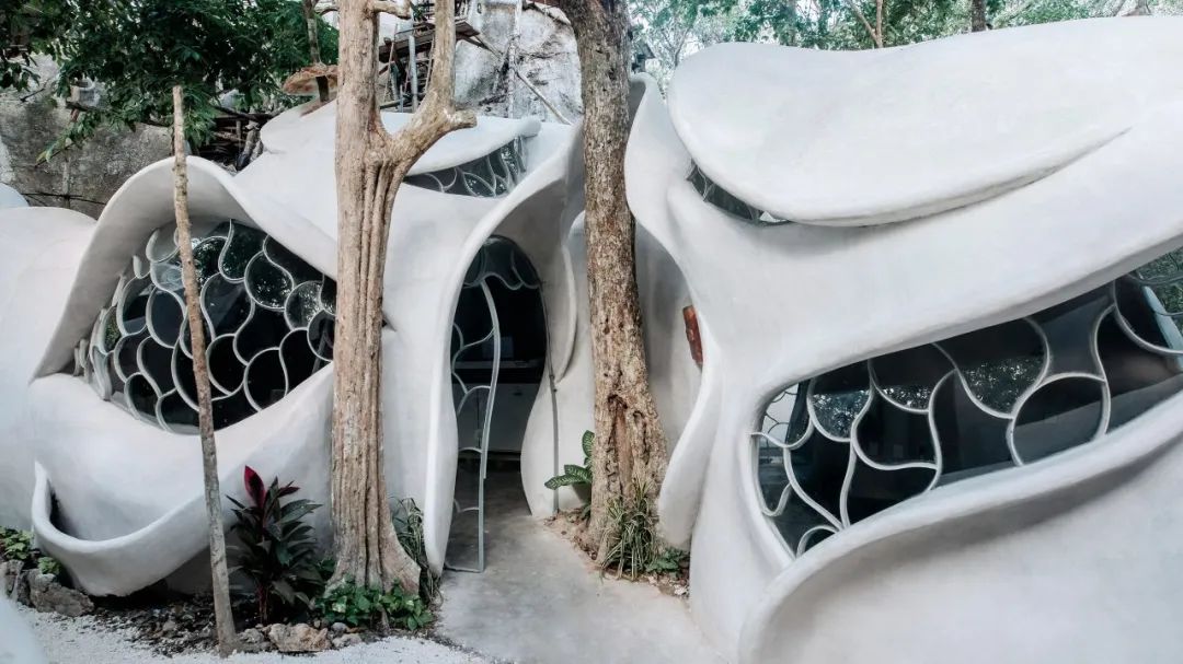 “昆虫翼”办公室 Fab Lab丨墨西哥丨Roth Architecture-3