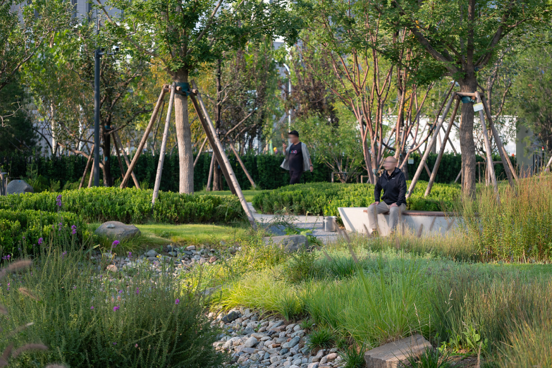 阿里巴巴北京朝阳科技园景观设计丨中国北京丨阿普贝思UP+S-85