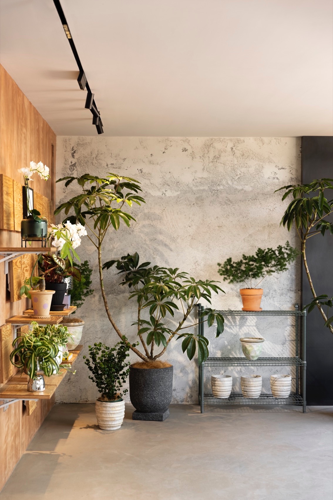 义乌苍仓植物零售空间丨见筑未来-9