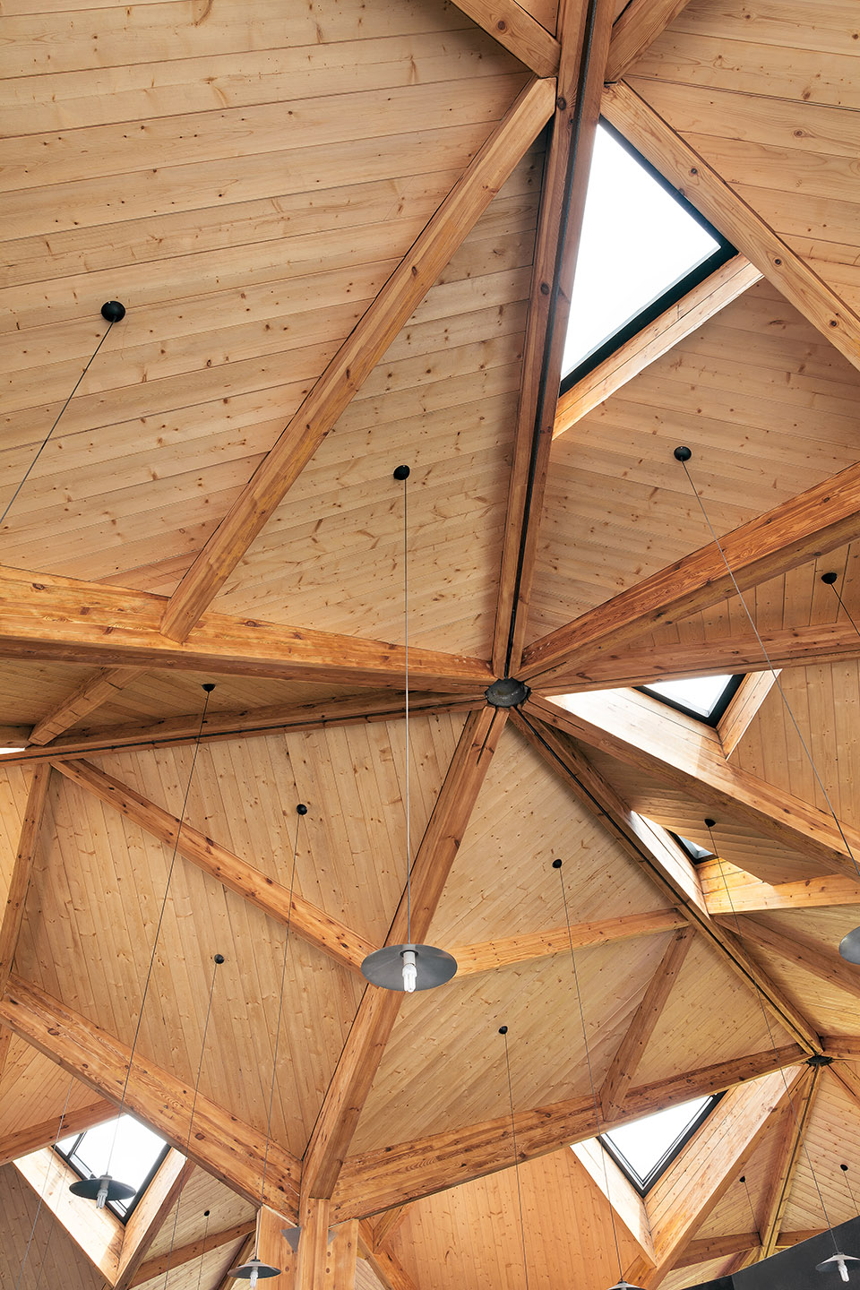 林建筑－与自然树木的共舞 / 迹·建筑事务所（华黎）-162