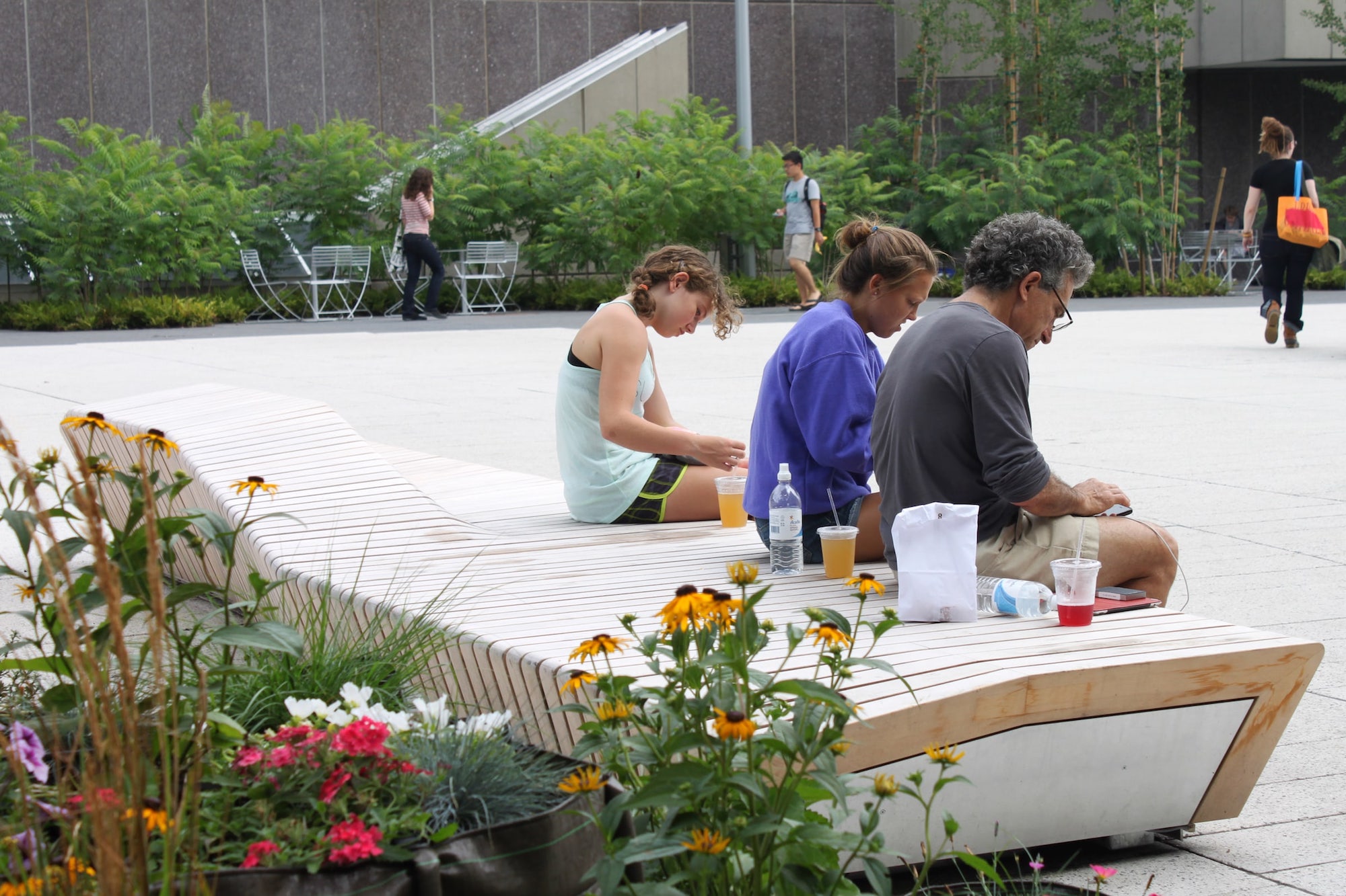 哈佛大学广场丨美国丨不详-15