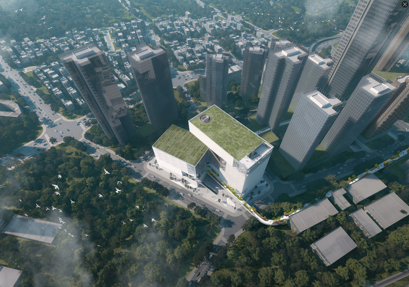 树生场馆，城伴林长-17