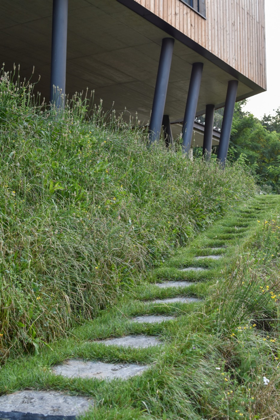 绿色和谐的坡地住宅花园设计丨捷克丨Tomáš Beránek-24