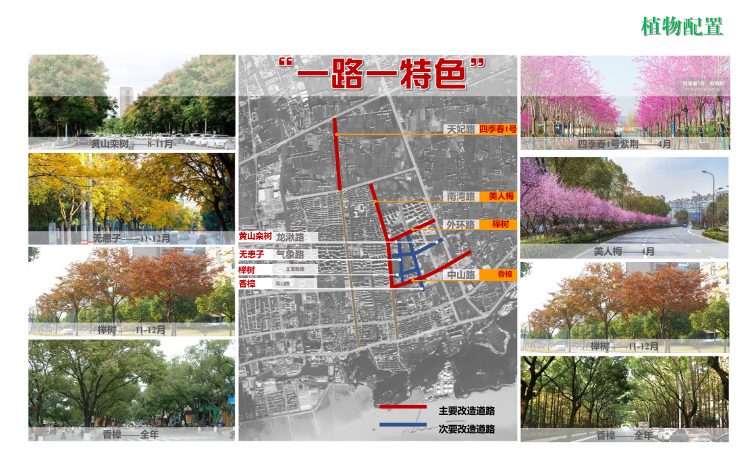 2024年度院优项目|嘉兴港区中央活力区道路景观设计实践——滨海盐碱地生态修复与城市美学融合的典范之作-25