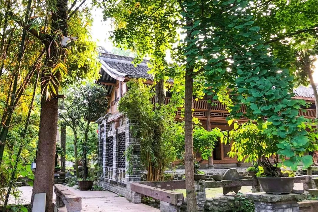 废弃庄园变鹭鸟天堂 | 400㎡中式宅院与 30 亩森林的共生设计-47