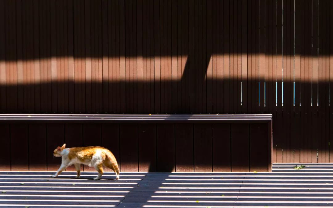 现代东方美学融入南通星光域二期五期景观设计-64