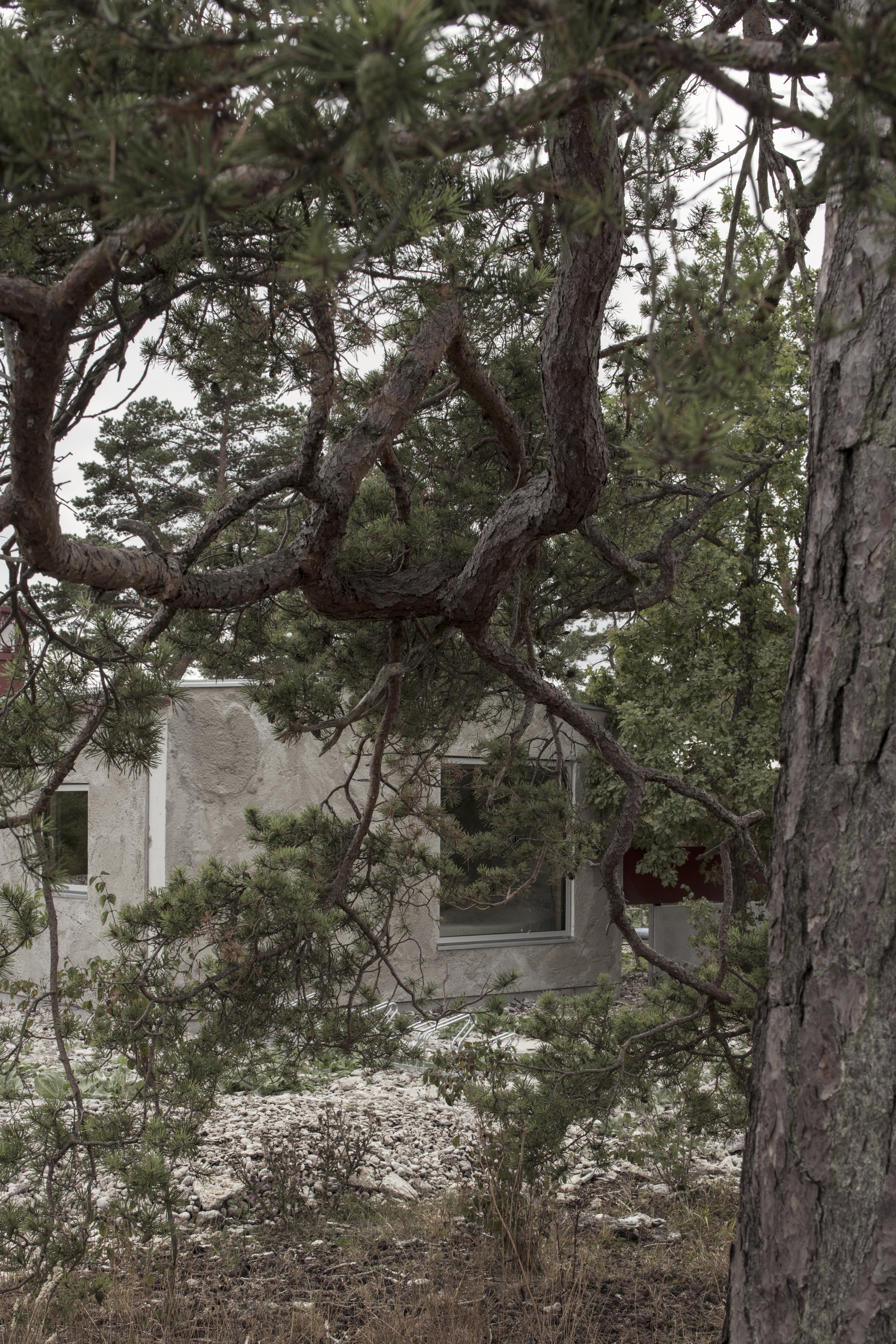 Savannah House and Savannen Pavilion / Ateljé Ö-17