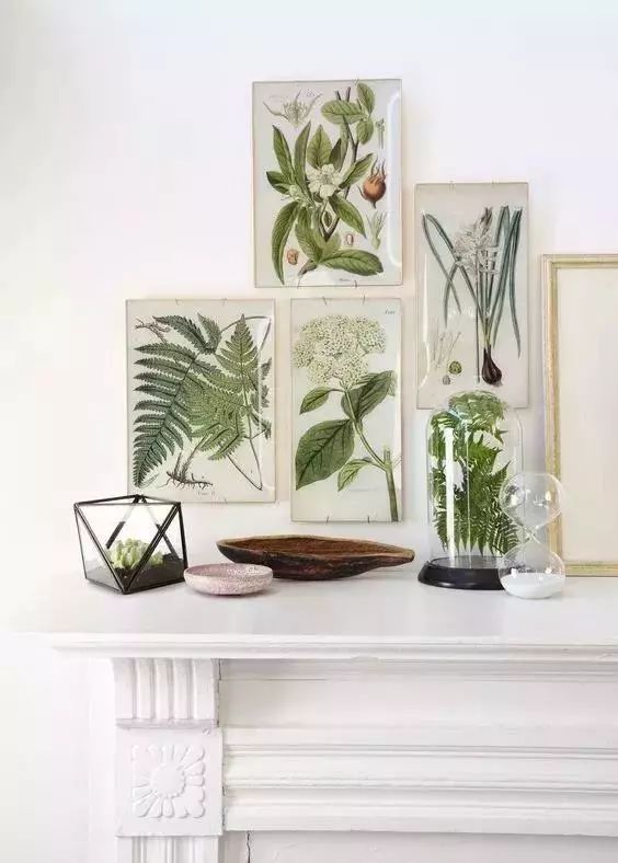 绿色植物装饰画,为家增添自然清新之美-37