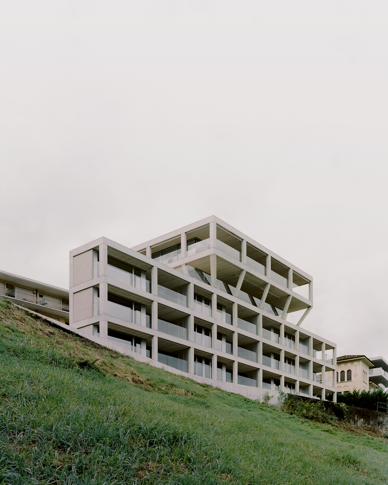 瑞士湖边网格建筑丨DF_DC-25