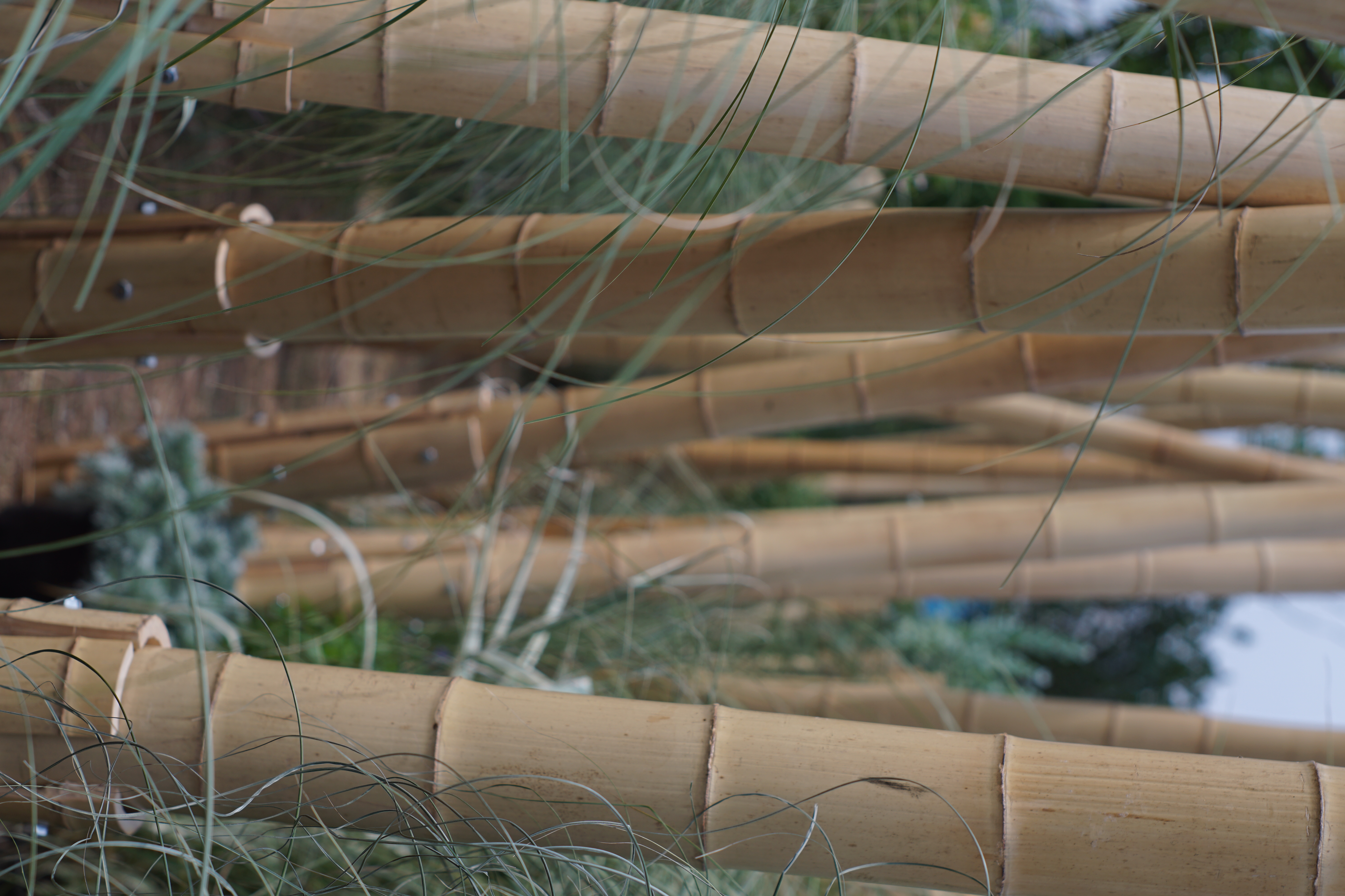 竹林丨中国成都丨Atelier Folie（北林风景建筑研究中心）-33