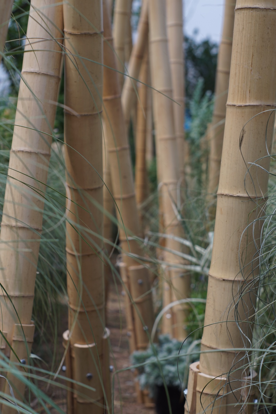 竹林丨中国成都丨Atelier Folie(北林风景建筑研究中心)-33