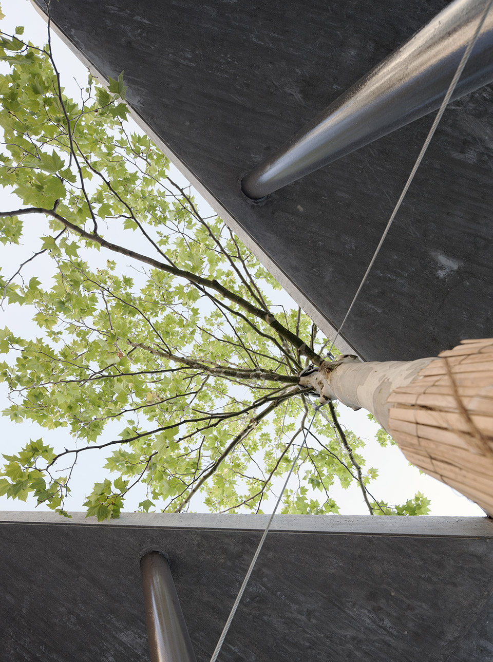 瑞士 Renens 集市拱廊丨不详-18