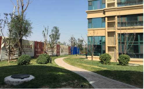 绿化设计中的地被放线手法与植物配置-102