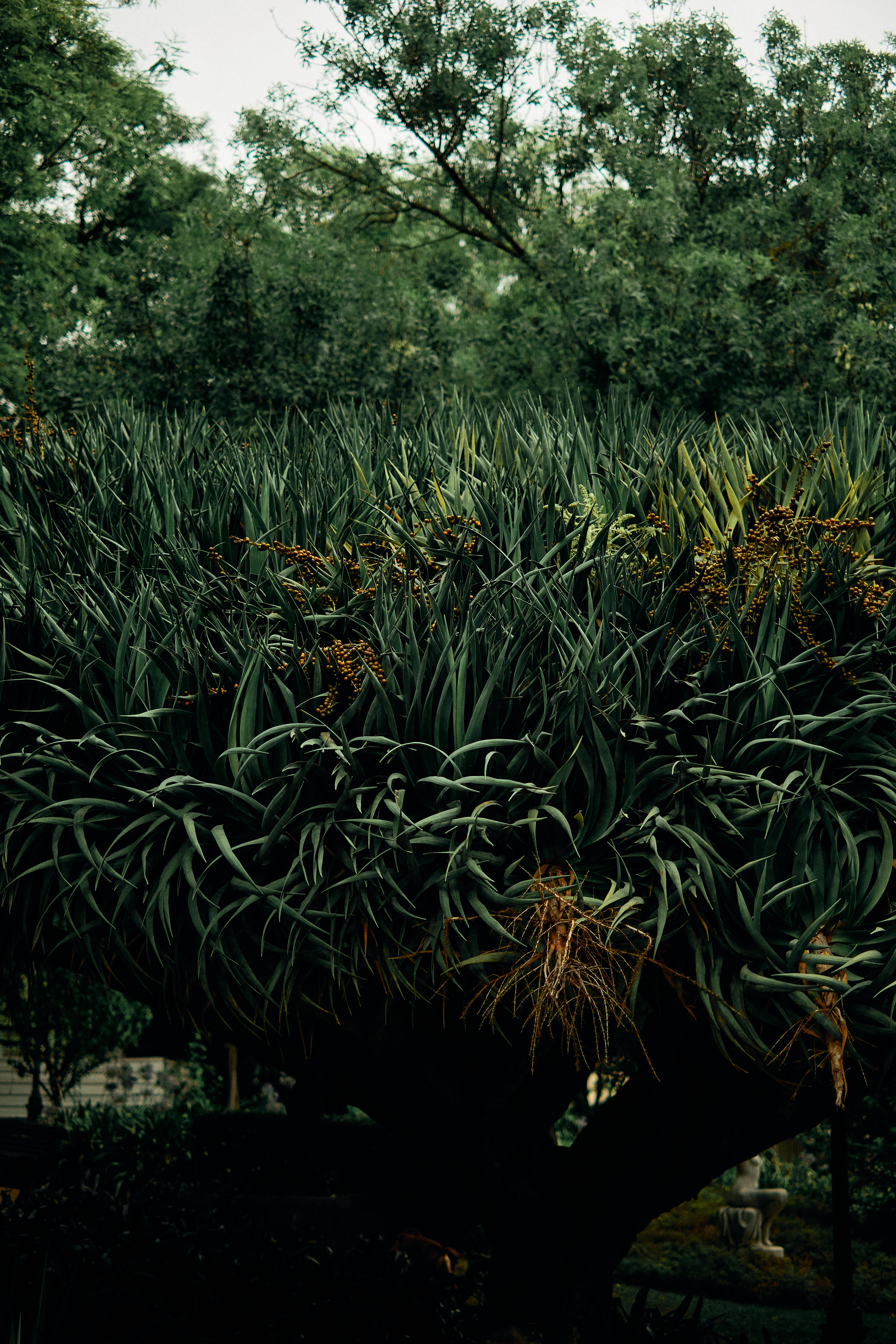 里斯本城市景观摄影丨葡萄牙里斯本-25