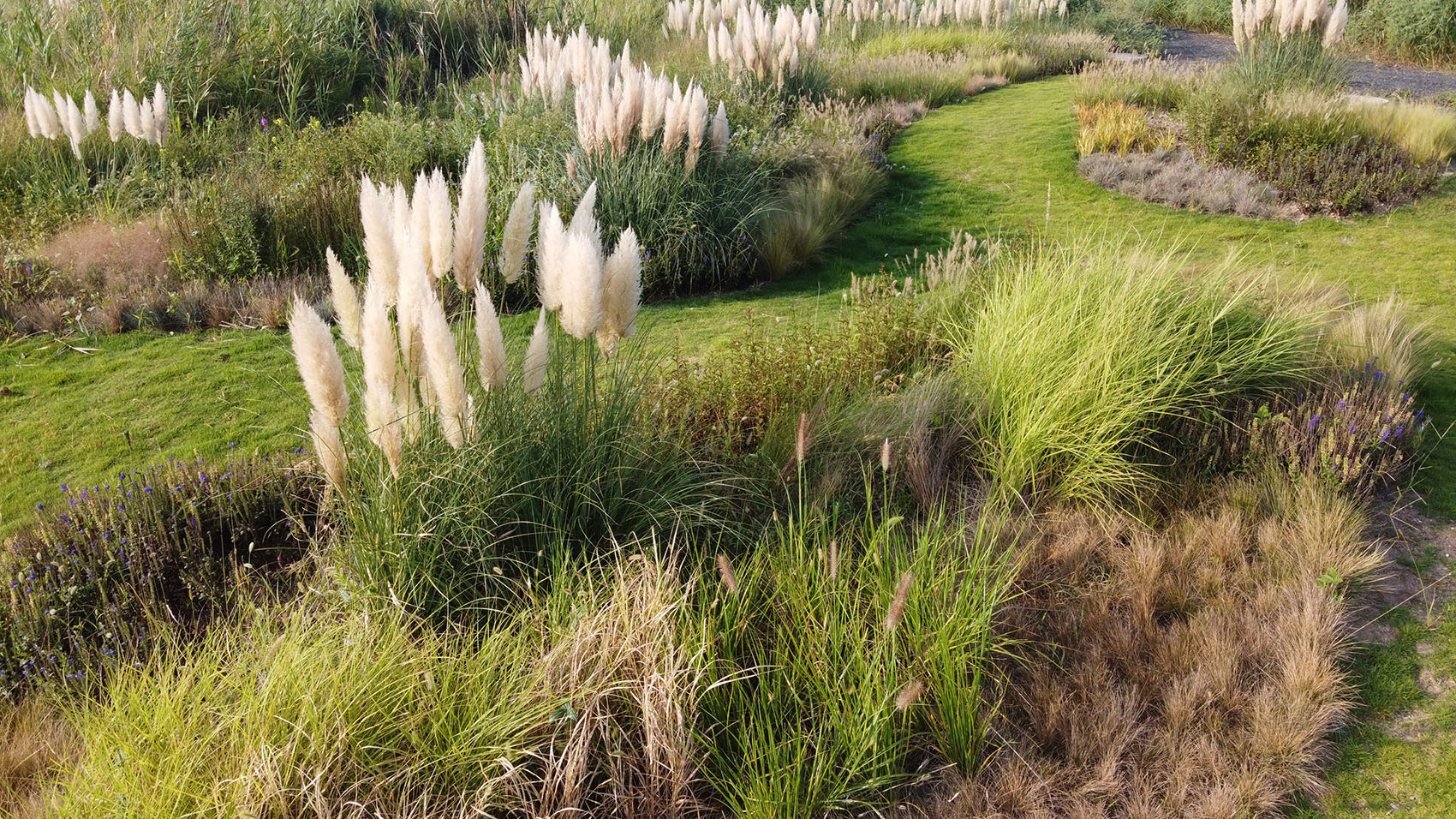 多岛海野草公园丨中国日照丨孔祥伟工作室-39