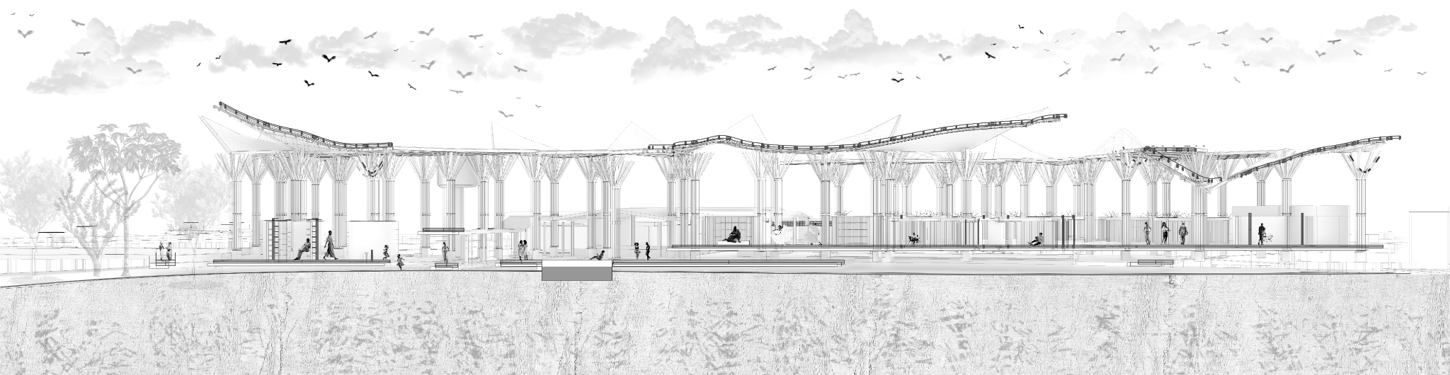 TDG | CASA DE LA PARTERA MATRIA-7