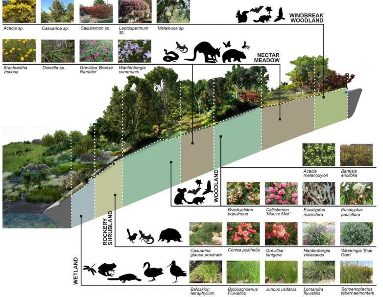 Ribbons of Life（“生命之带”）人行桥丨澳大利亚堪培拉丨CX Landscape建筑工作室-30
