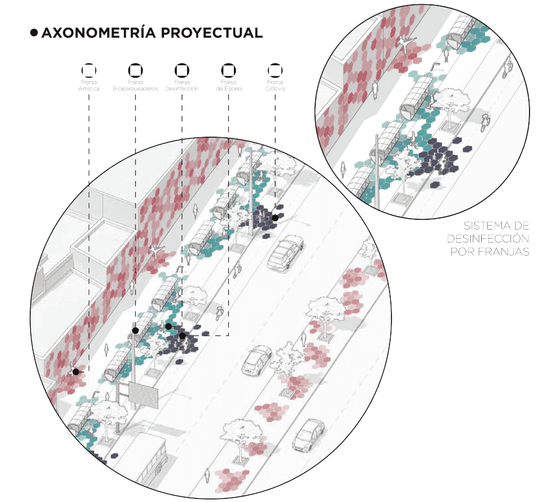 大流行期间的安全流动性丨哥伦比亚丨EQUIPO CESCA BOGOTÁ-12