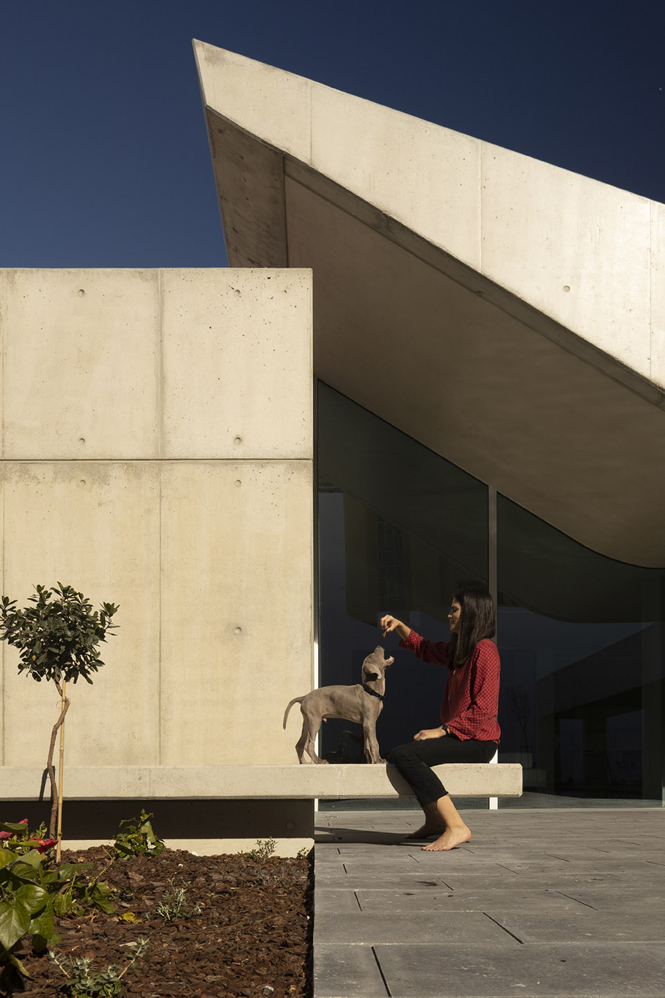 Nuns住宅，葡萄牙 / Mário Martins Atelier-38