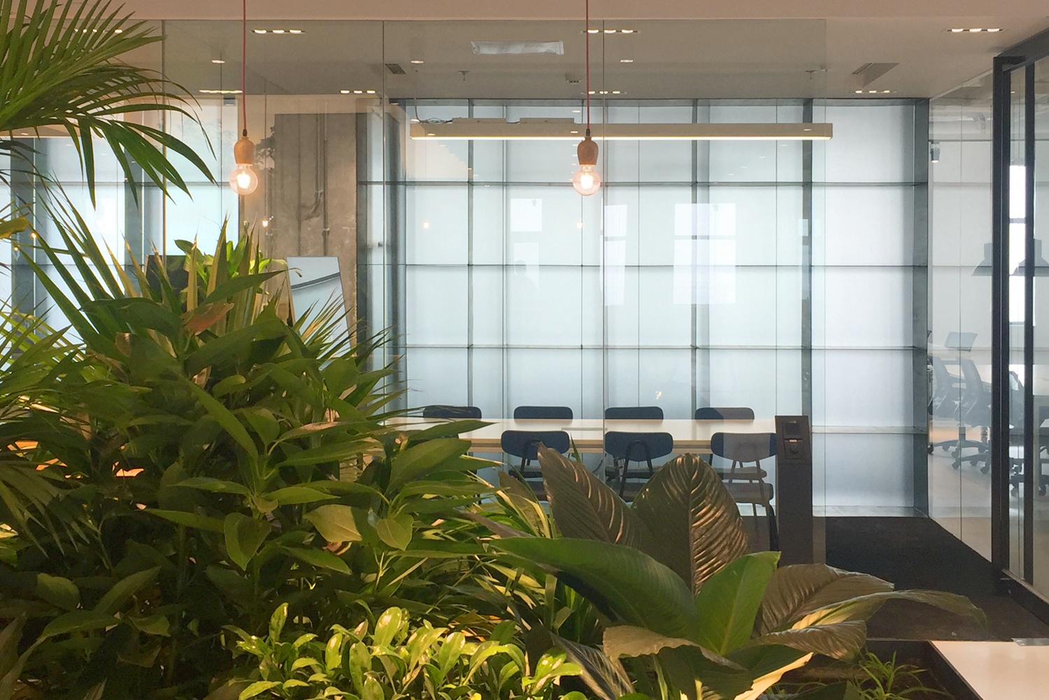 望京,南山,北新桥,金华-8