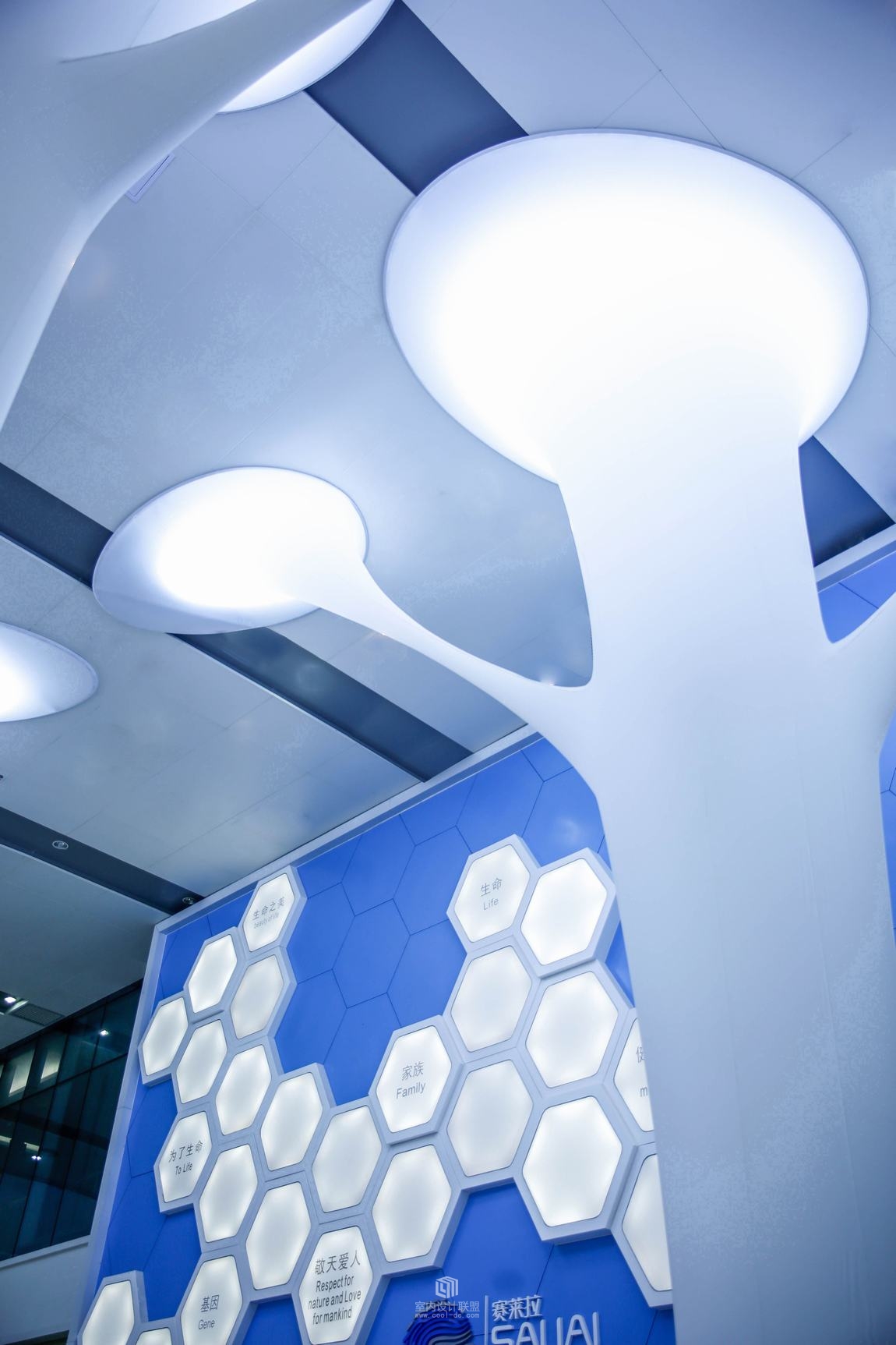 CDI创思设计--赛莱拉干细胞办公室-8