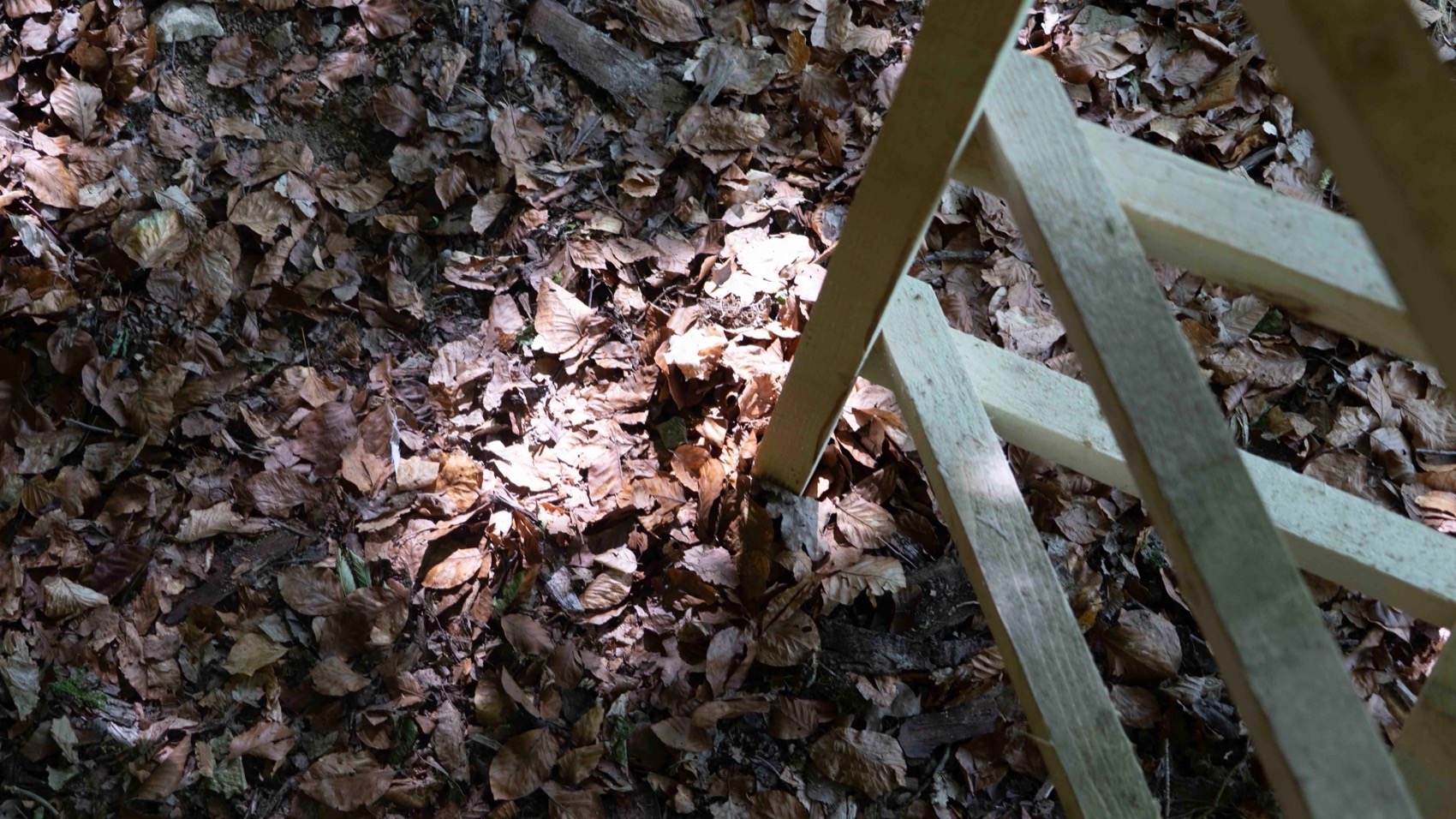 冥想小屋·A “light” paper cage丨法国丨无意义建筑-17