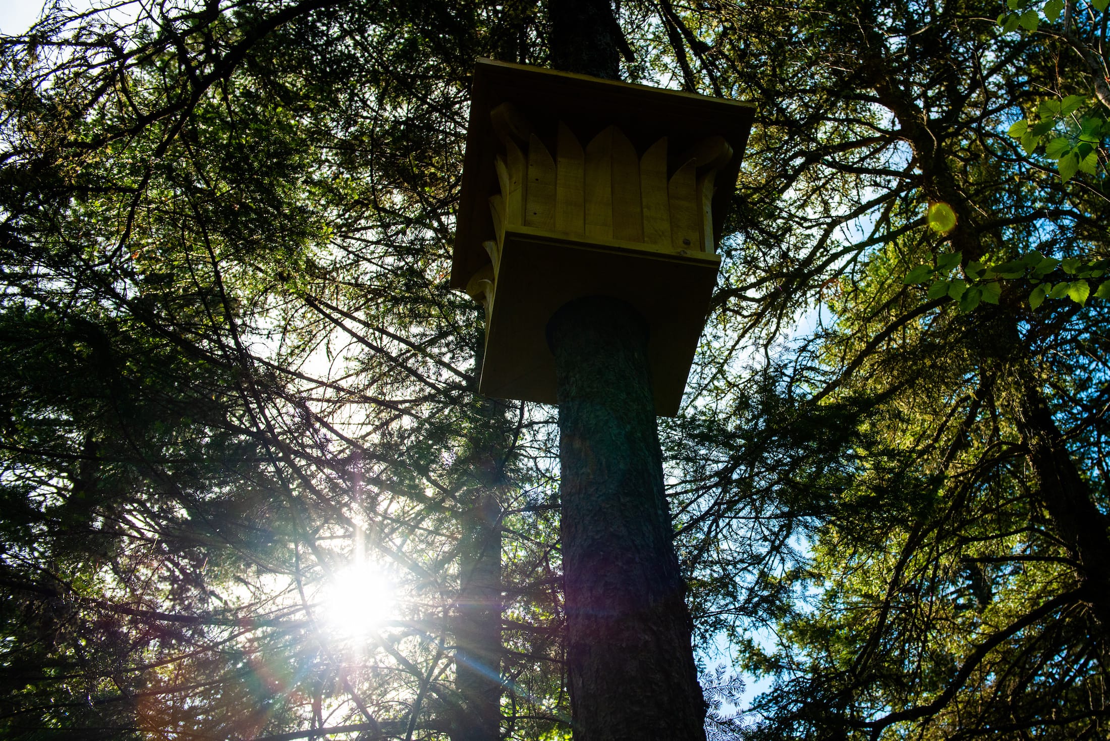 2019加拿大国际花园节(第二部分),Reford Gardens-81