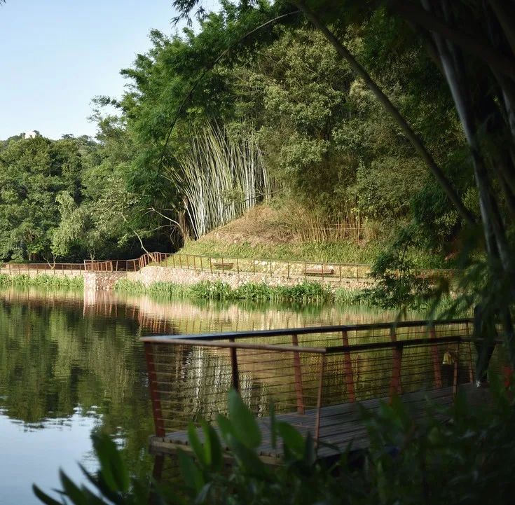 天鹿湖航新种子谷·现代农业公园丨中国广州丨PFS Studio(丛联景观)-22