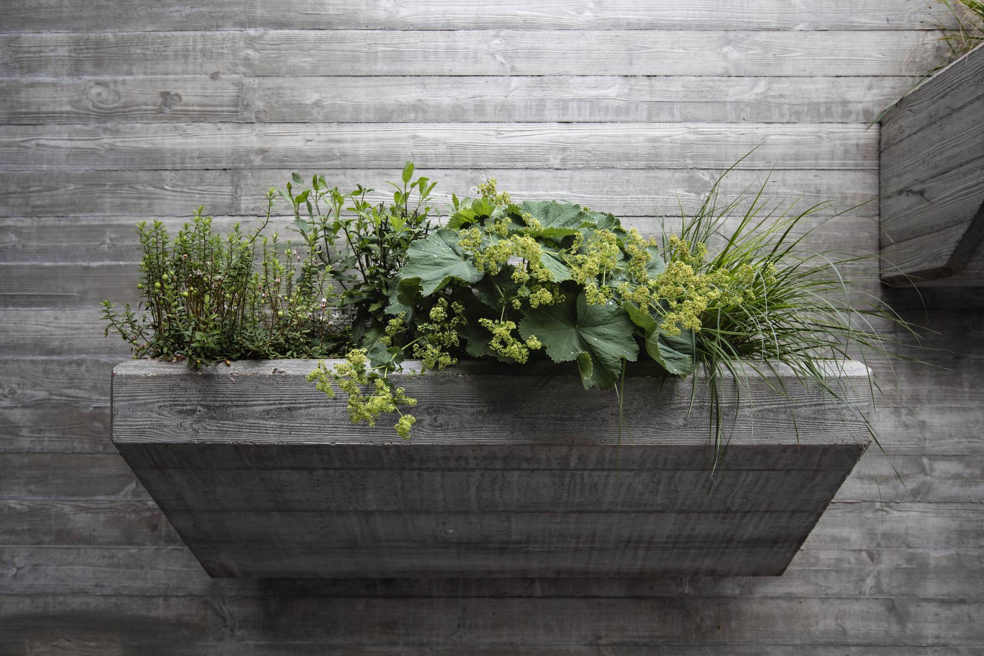 立陶宛十字路口之宅丨arches-39