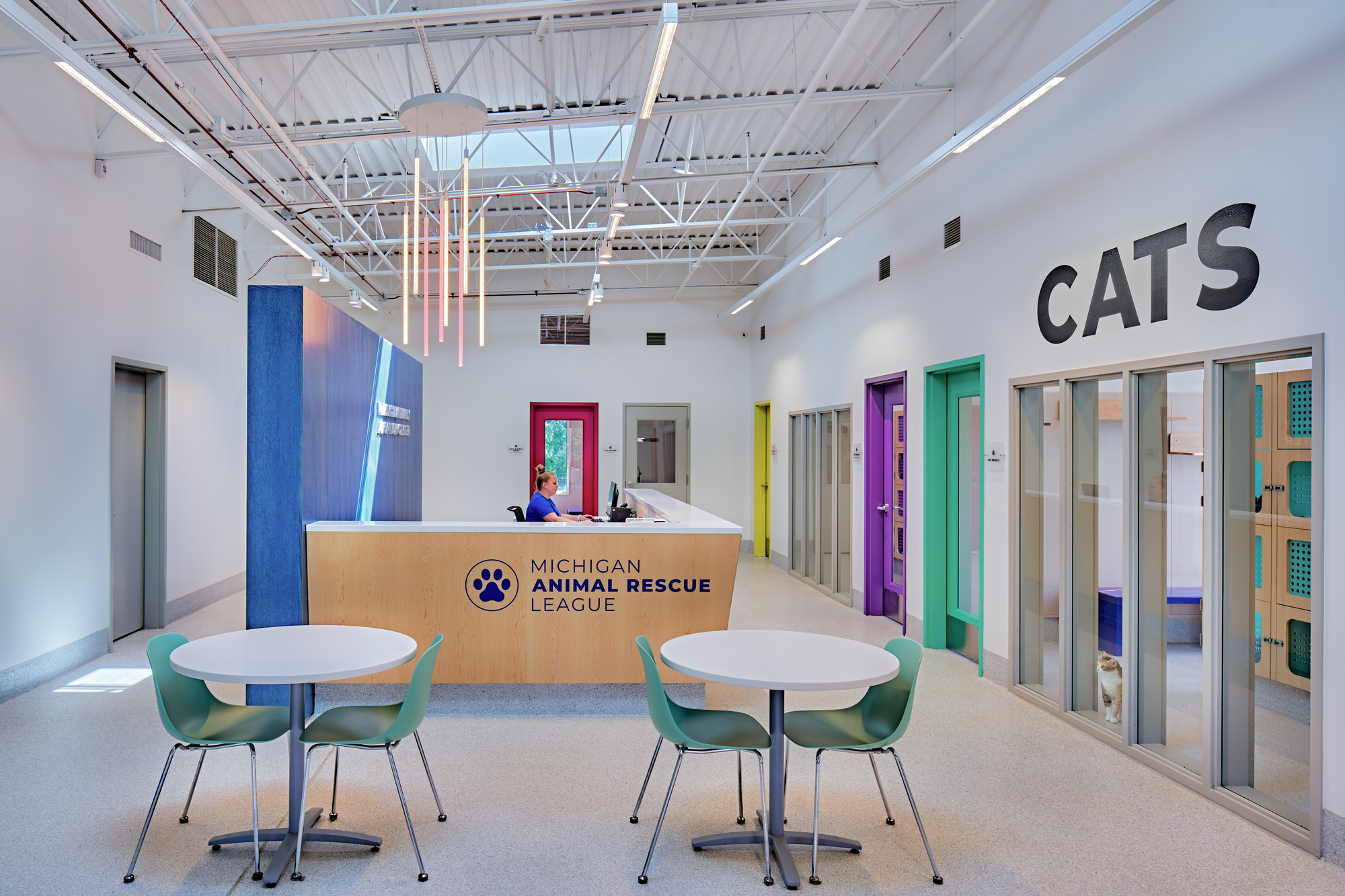 密歇根动物救援联盟丨美国丨PLY+-6