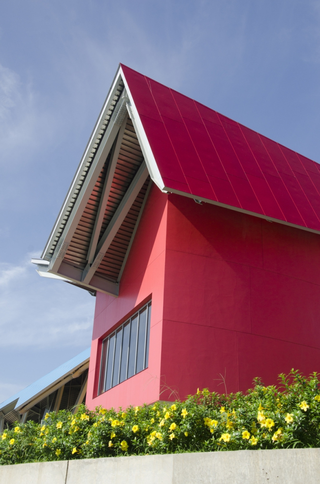 Biomuseo  生物多样性博物馆丨弗兰克·盖里（Frank Gehry）-41