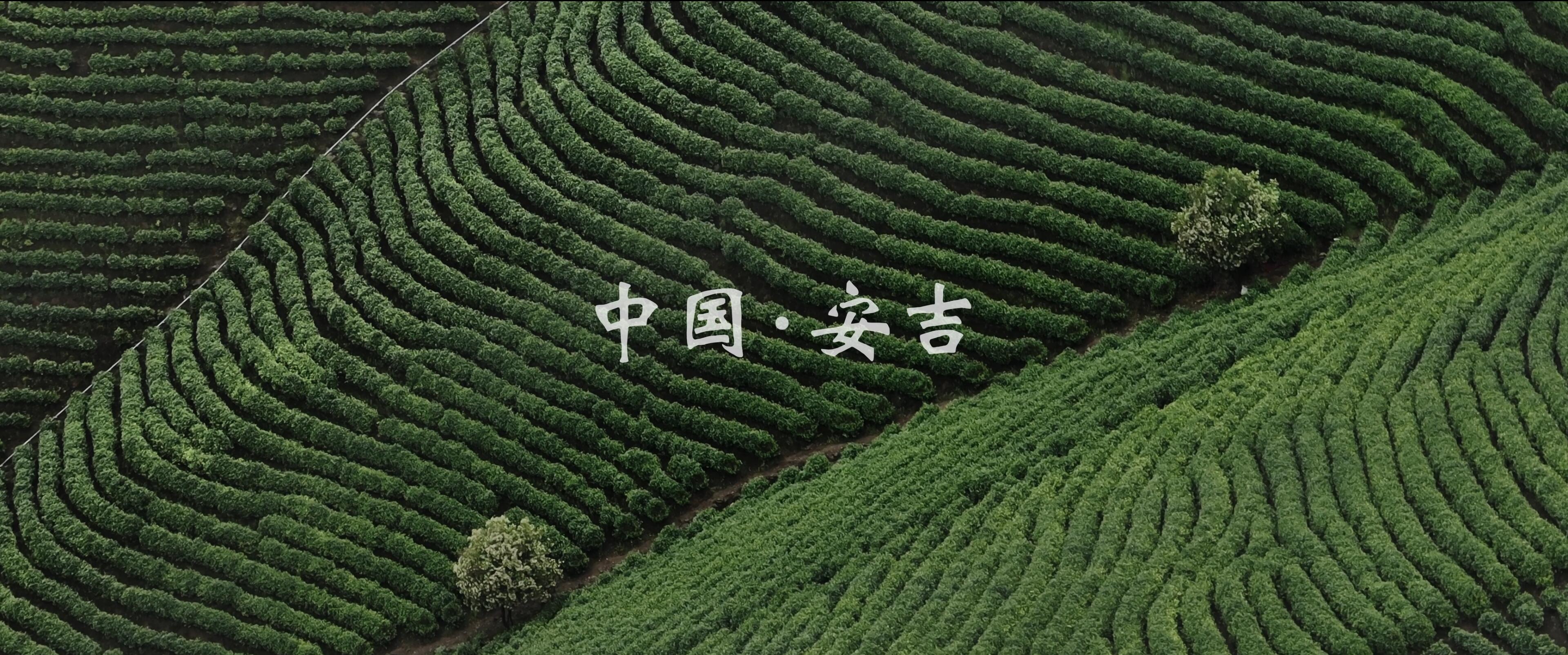 安吉涵田云居酒店-0