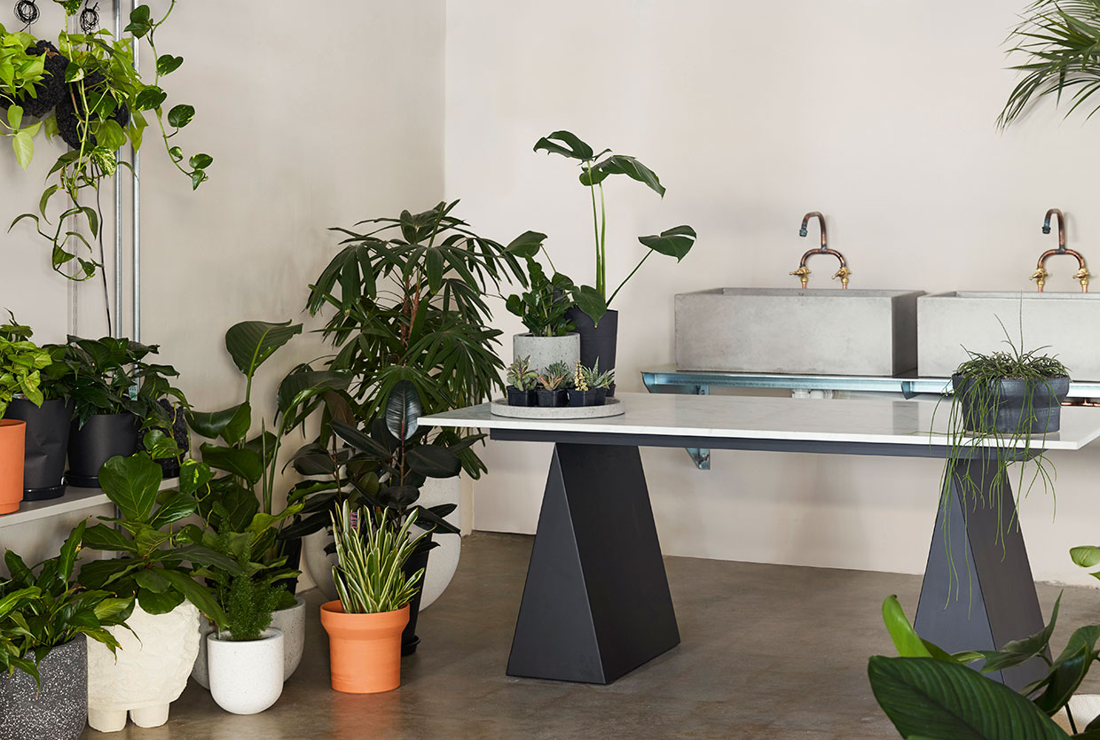 墨尔本 Tait 旗舰店，生活与自然的和谐交融-7