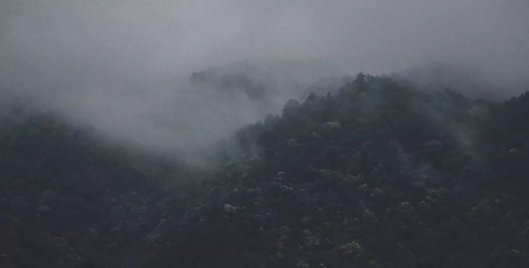 美的沉思 | 陶然于山水草木闲居的设计美学-9