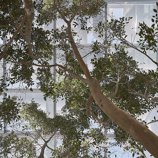 Campbell House by Tonkin Zulaikha Greer | Australian Interior Design Awards-14