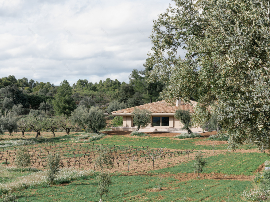 丨西班牙特鲁埃尔丨MDBA architects-10