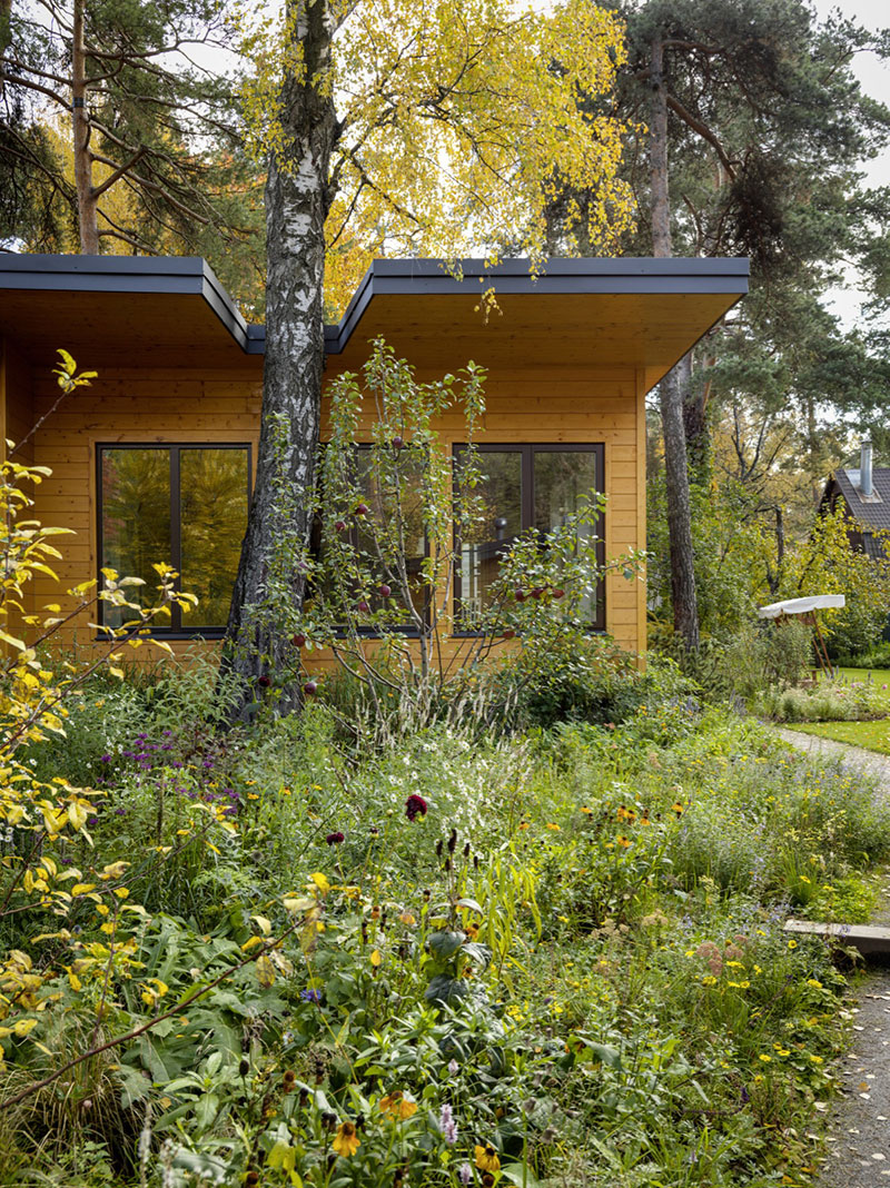 莫斯科附近的灵魂夏日度假小屋-18