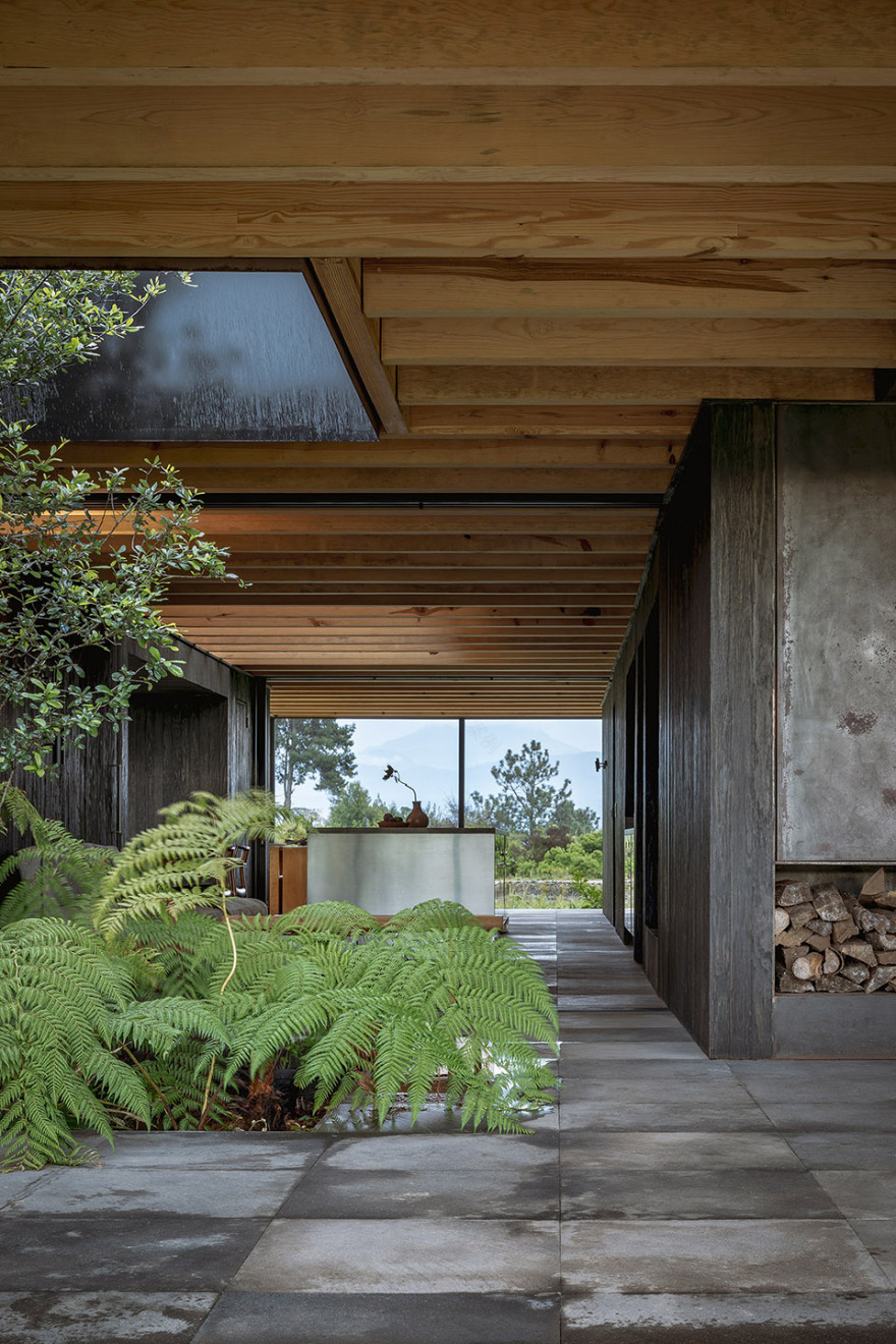 墨西哥雨水收集之家丨Robert Hutchison Architecture + JSa-91