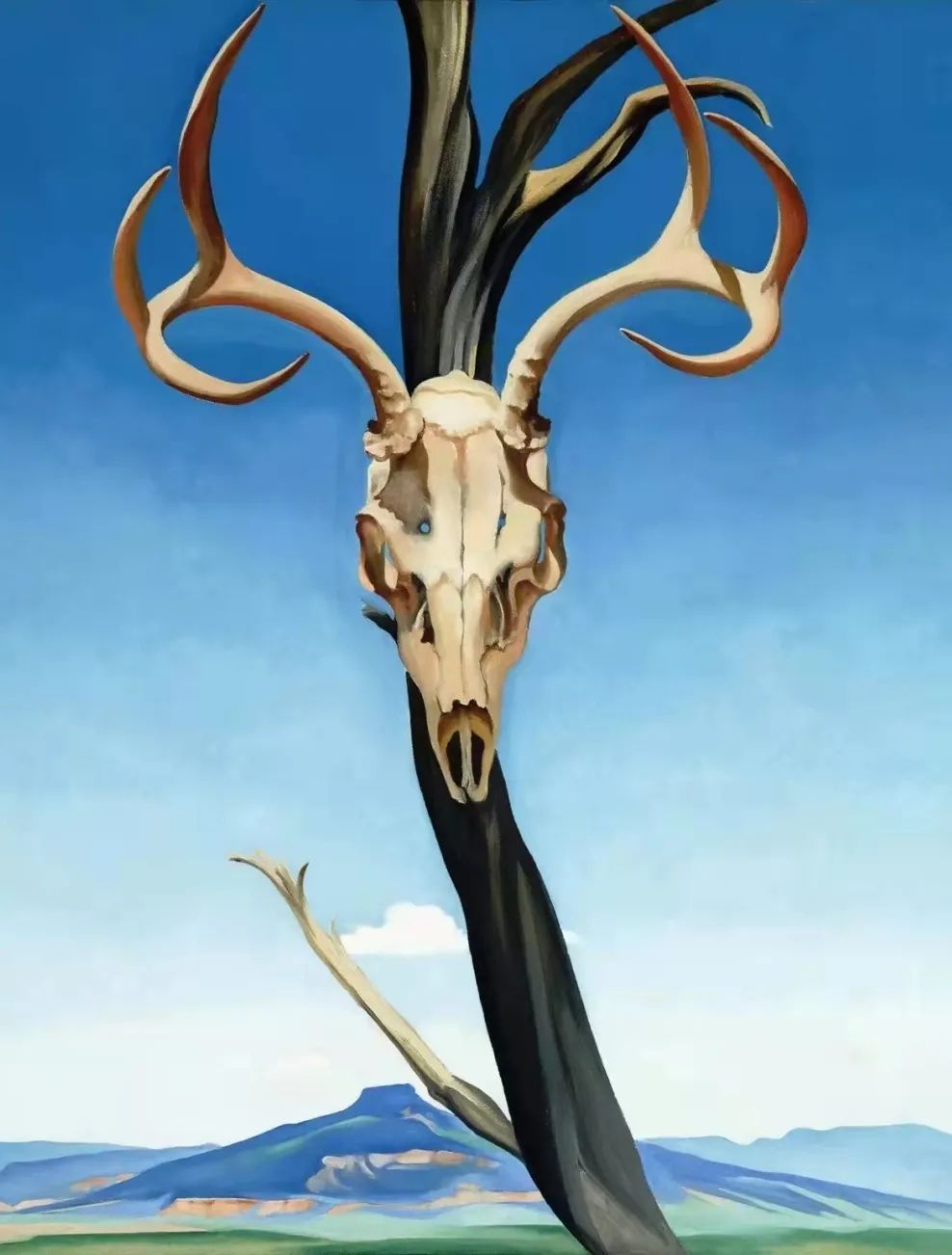 欧姬芙的家丨墨西哥丨乔治亚·欧姬芙-86