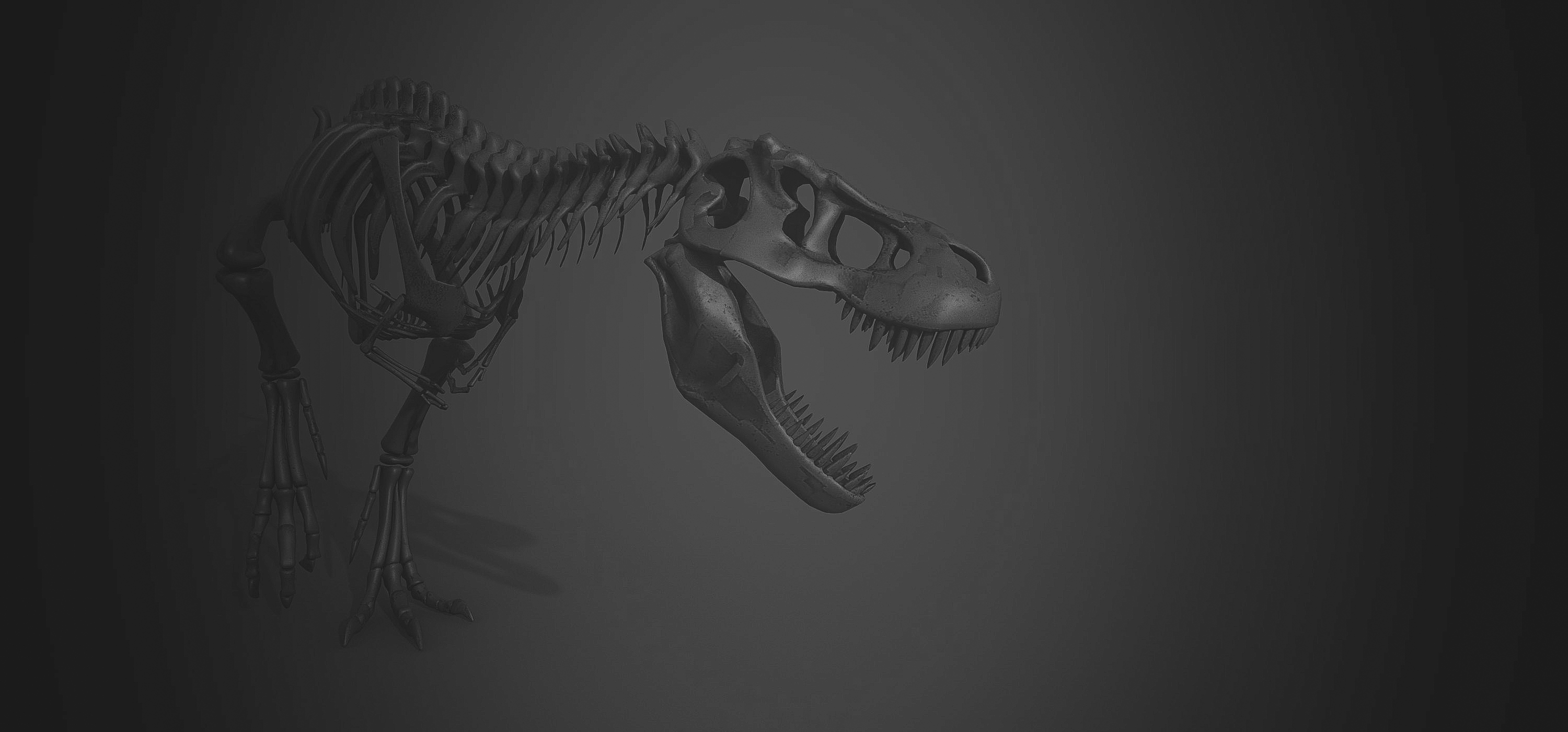 3D 虚拟概念展厅丨个人-56