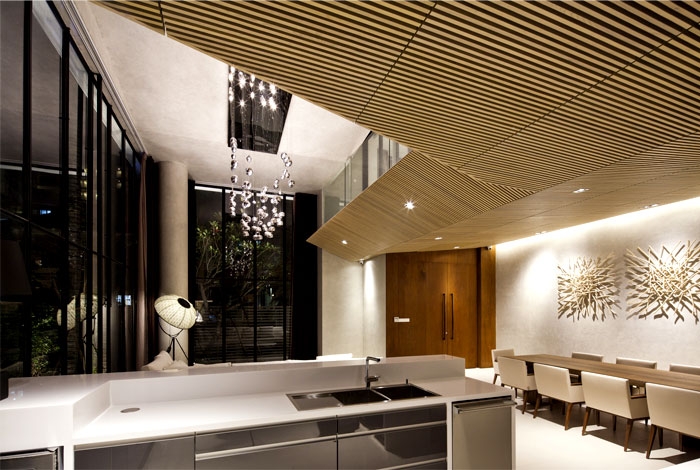 现代优雅的别墅设计欣赏-0