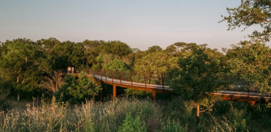 不止于人:连接文化与野生动物的跨桥丨美国丨STIMSON + Rialto Studio-27