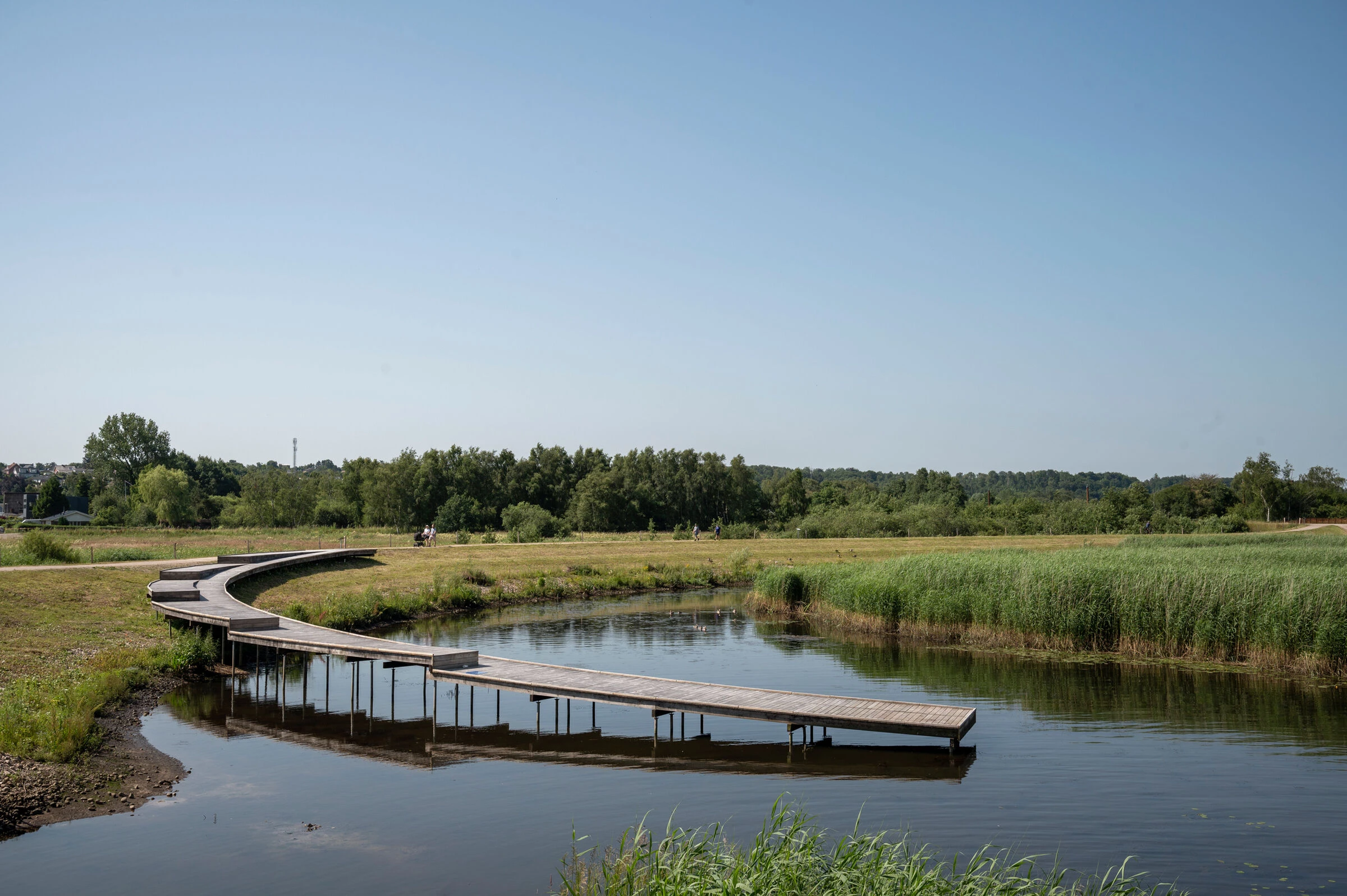 丹麦鹳草甸项目丨C.F. Møller Architects-27